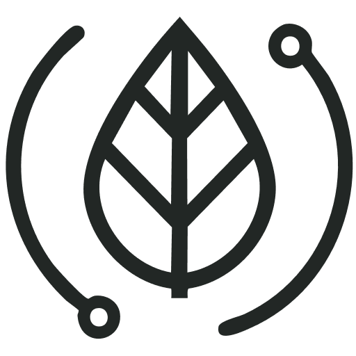 DDC Holdings logo